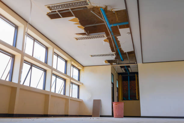 Best Water damage contractors near me  in Pigeon Forge, TN