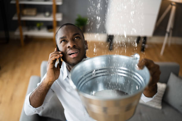 Best Water damage restoration near me  in Pigeon Forge, TN