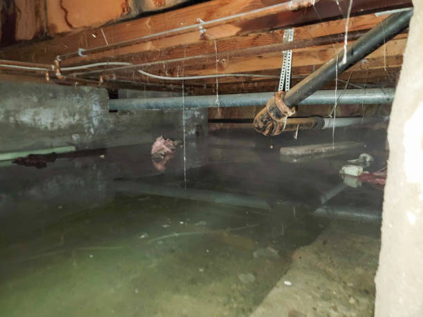 Best Sewage cleanup and water damage restoration  in Pigeon Forge, TN
