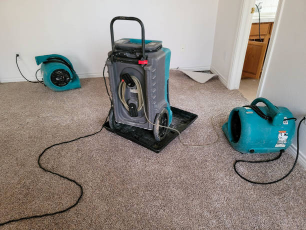 Water damage restoration process in Pigeon Forge, TN