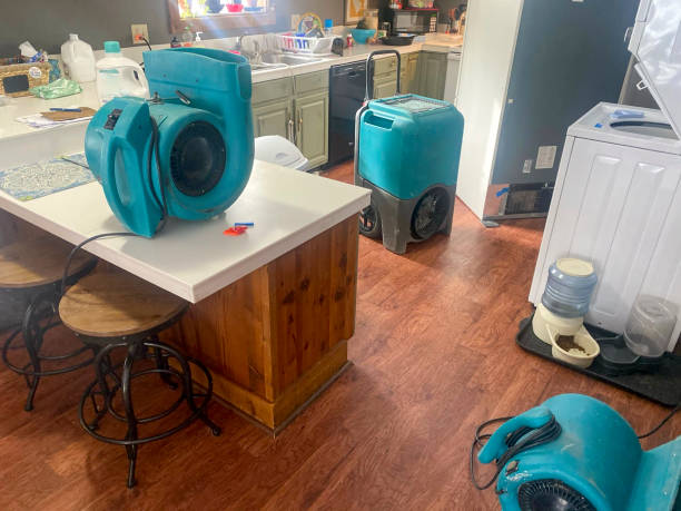 Best Flood damage cleanup  in Pigeon Forge, TN