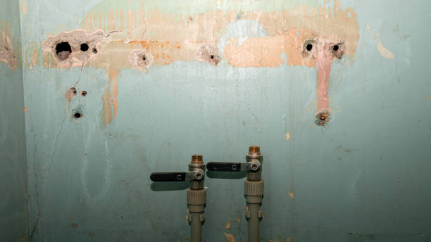  Pigeon Forge, TN Water damage restoration Pros