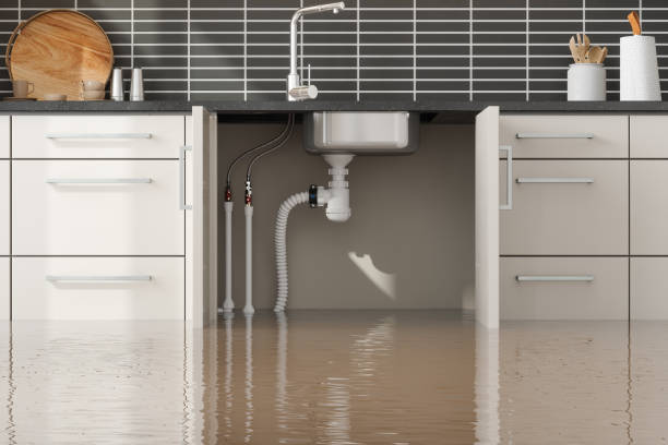 Best Basement water damage restoration  in Pigeon Forge, TN