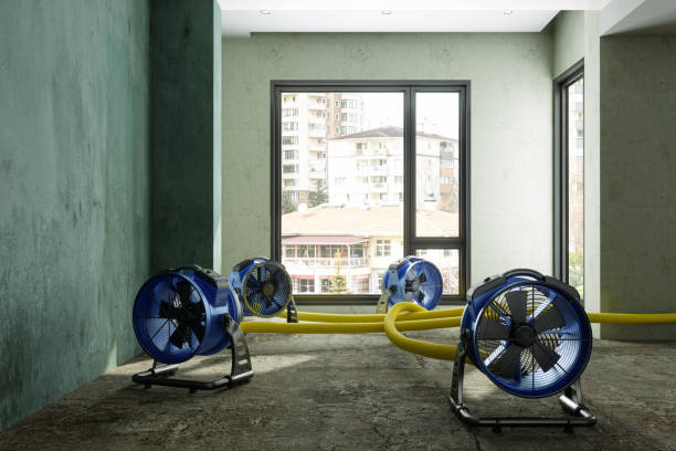 Best Water damage restoration near me  in Pigeon Forge, TN